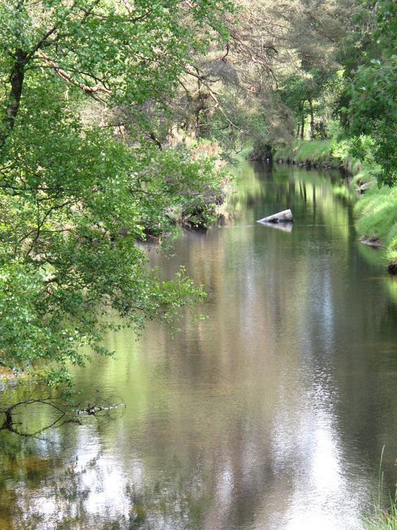 Riversdale House Accommodation Laragh Esterno foto
