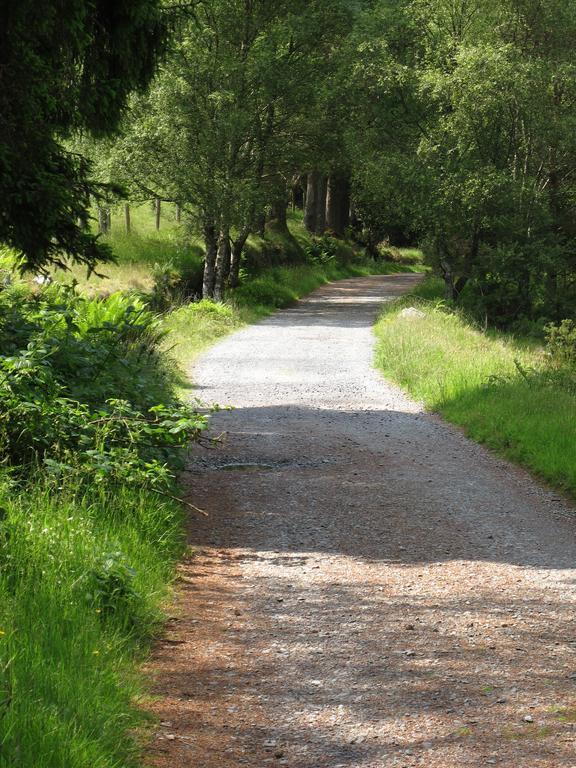 Riversdale House Accommodation Laragh Esterno foto