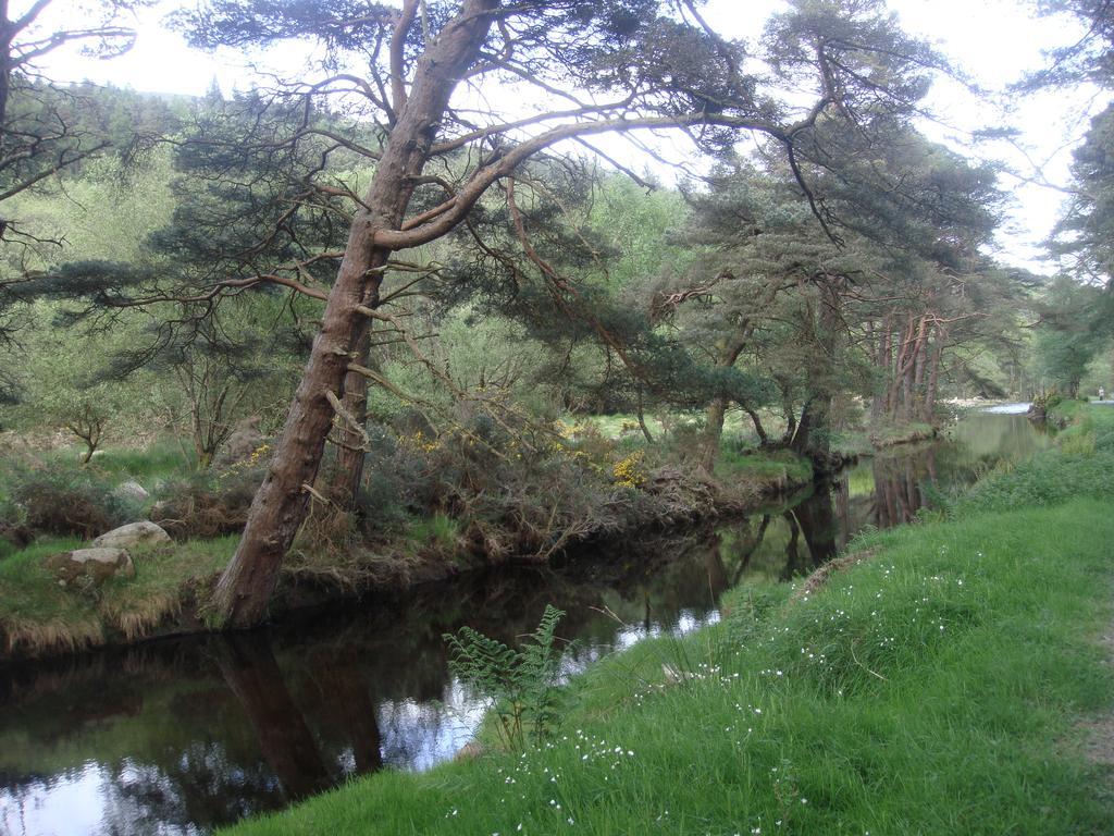 Riversdale House Accommodation Laragh Esterno foto
